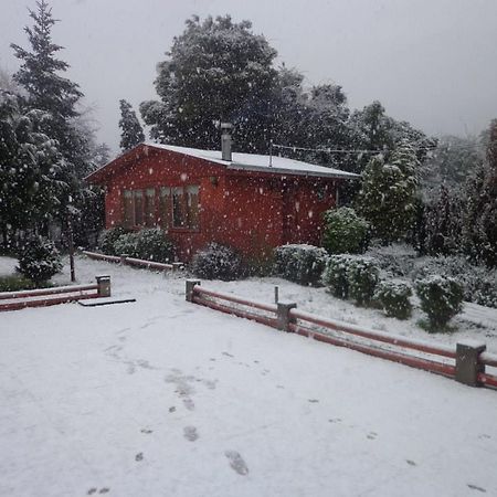 Puelche De Antuco Villa Екстериор снимка